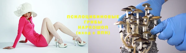 ГАЛЛЮЦИНОГЕННЫЕ ГРИБЫ Балахна