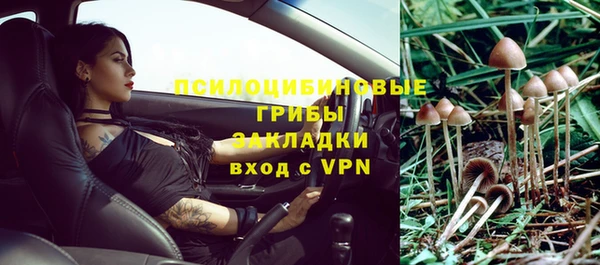 ГАЛЛЮЦИНОГЕННЫЕ ГРИБЫ Балахна